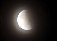 images_156